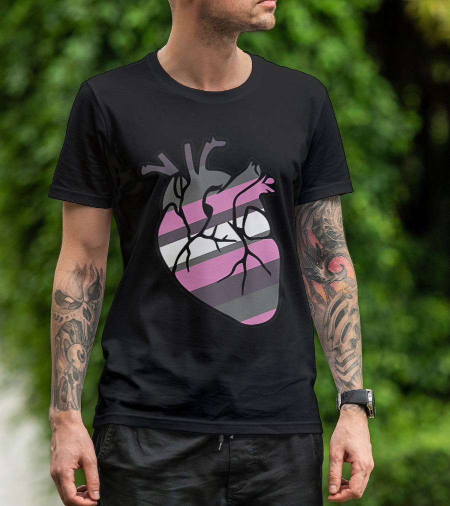 Demigirl Pride Anatomical Heart Stripes T-Shirt