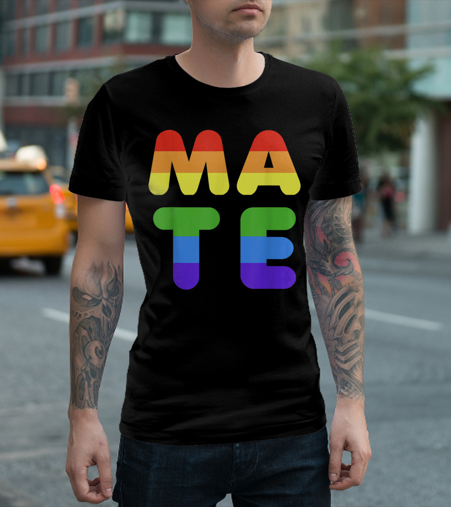 Soulmate Cute Rainbow Mate Matching Valentines Day Outfit For Gay Couple T-Shirt