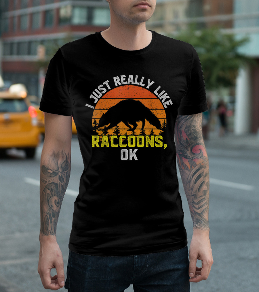 I Just Really Like Raccoons Ok Sunset T-Shirt