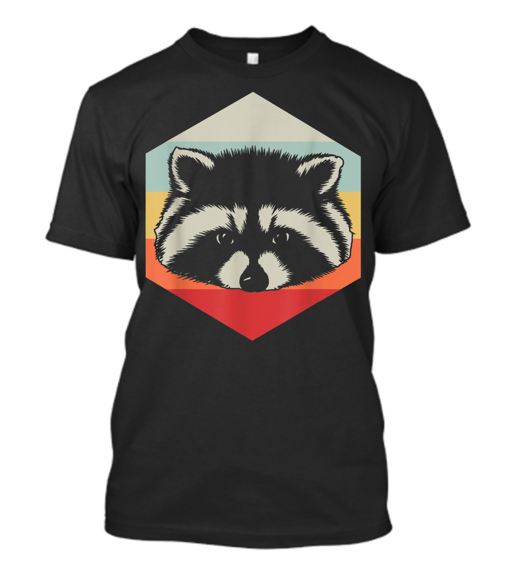 Retro Raccoon Vintage Hexagon T-Shirt