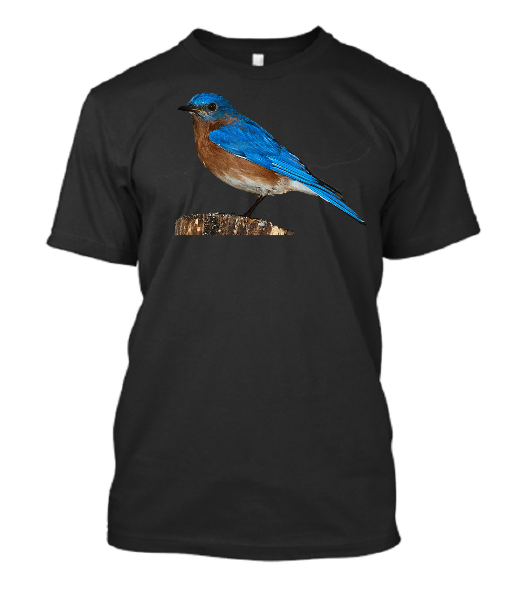 Bluebird Ornithology Eastern Bluebird Bird Perched On Tree Stump T-Shirt