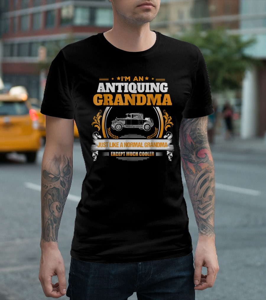 I'm an Antiquing Grandma Just Like a Normal Grandma Except Much Cooler T-Shirt