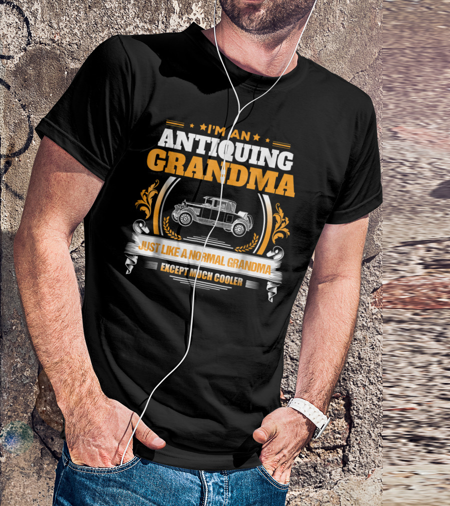 I'm An Antiquing Grandma Just Like A Normal Grandma Except Much Cooler T-Shirt