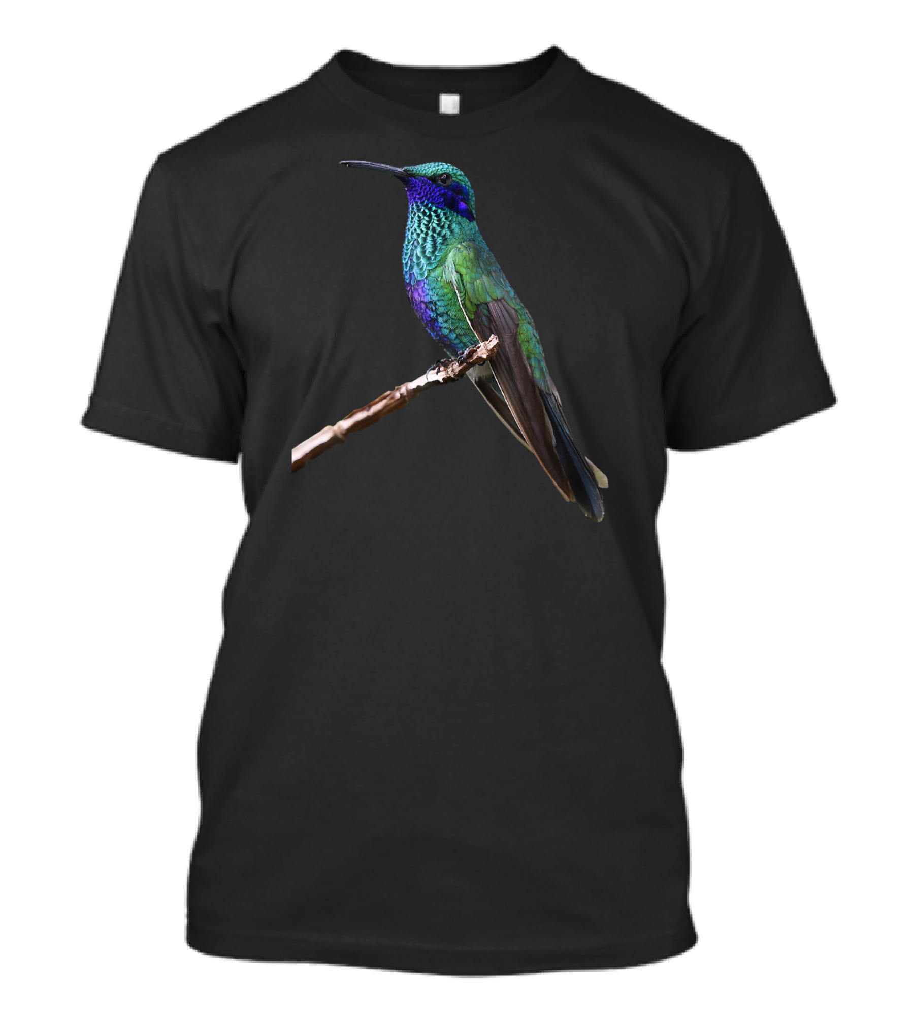 Hummingbird Bird Ornithology Vivid Green And Blue Perched Bird T-Shirt
