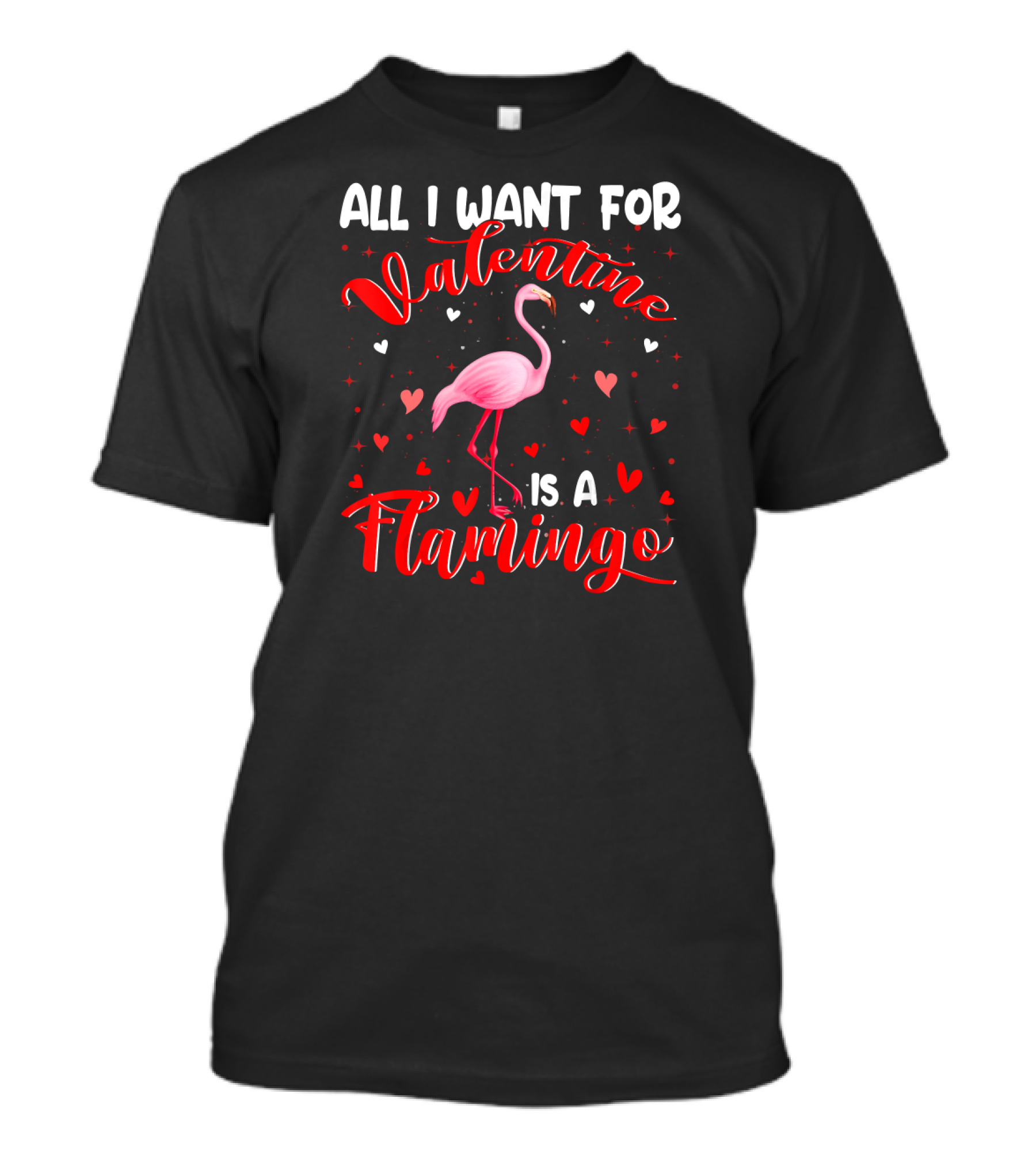 All I Want For Valentine Is A Flamingo T-Shirt