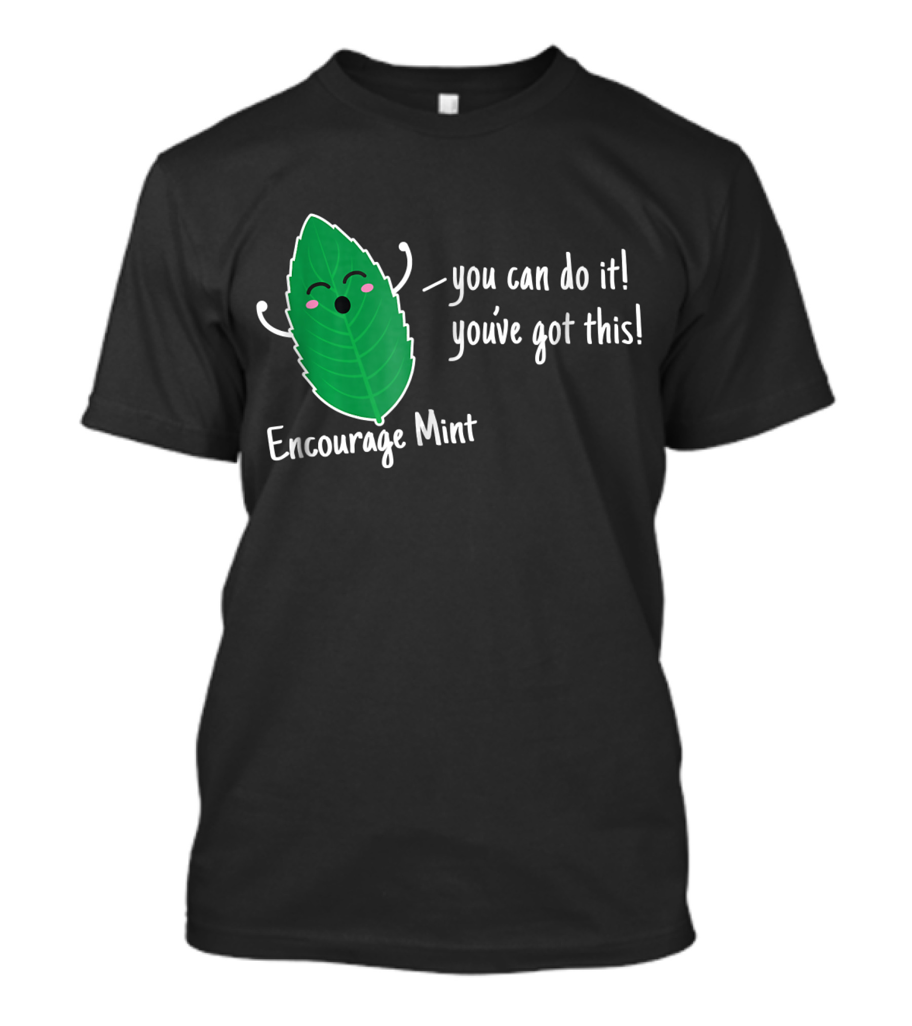 Encourage Mint You Can Do It You've Got This T-Shirt