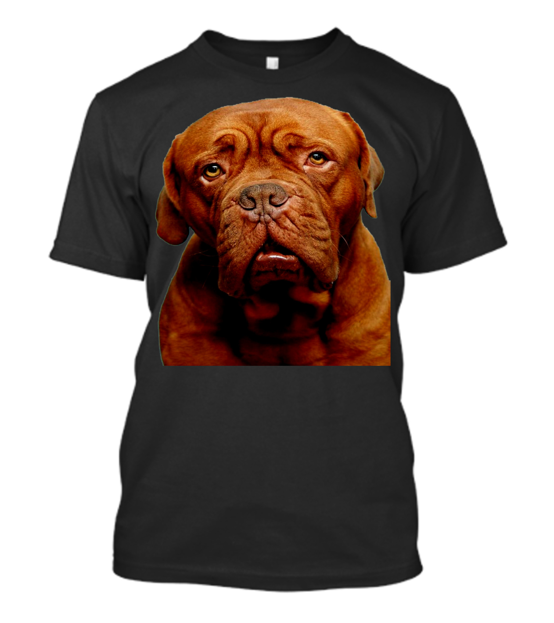 Dogue De Bordeaux Brown Dog Close-Up Face T-Shirt
