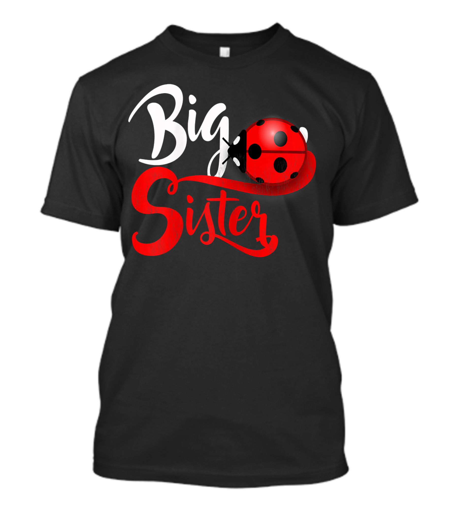 Big Sister Ladybug T-Shirt