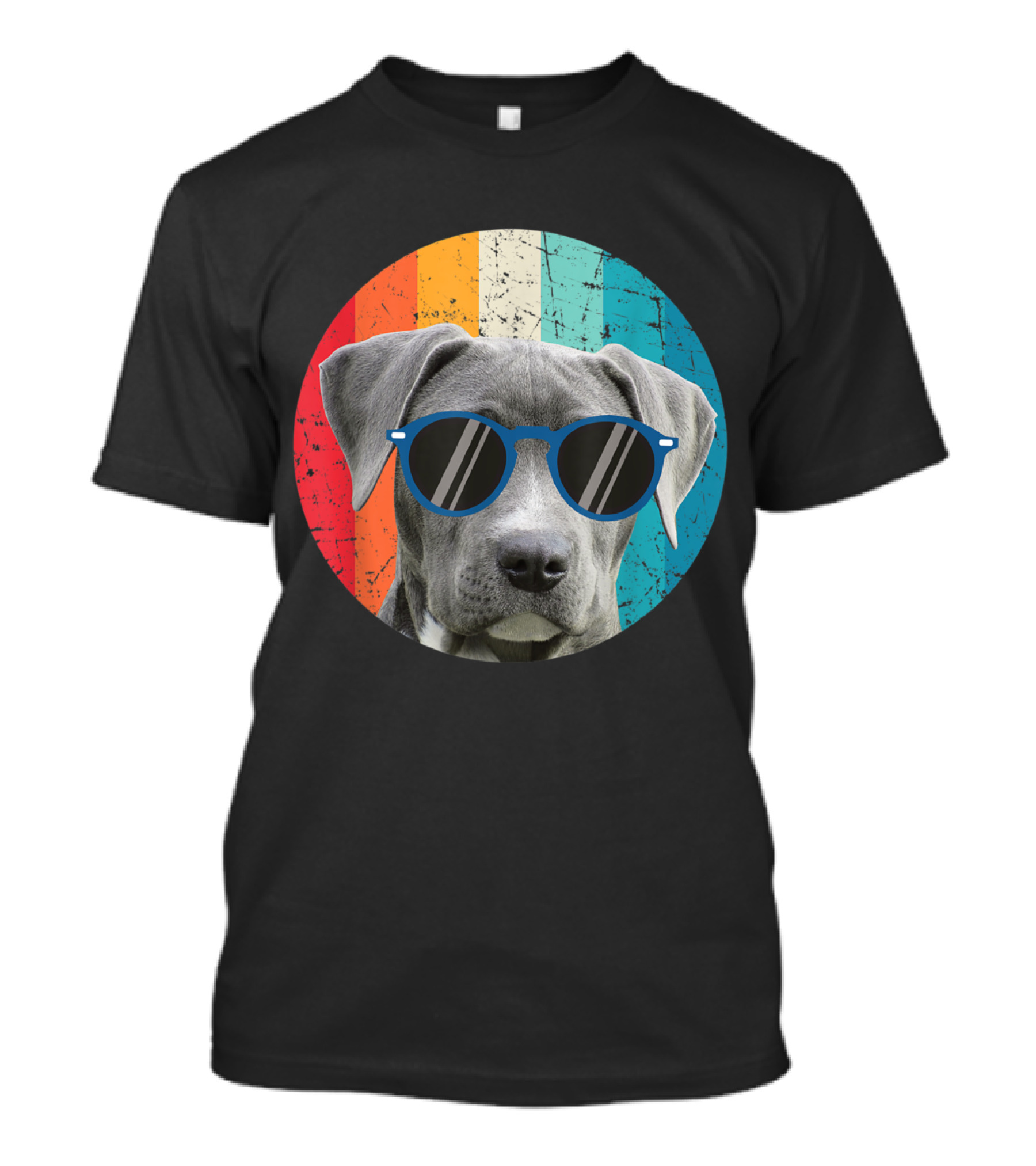 Vintage Weimaraner Dog With Sunglasses On Retro Striped Circle Background T-Shirt