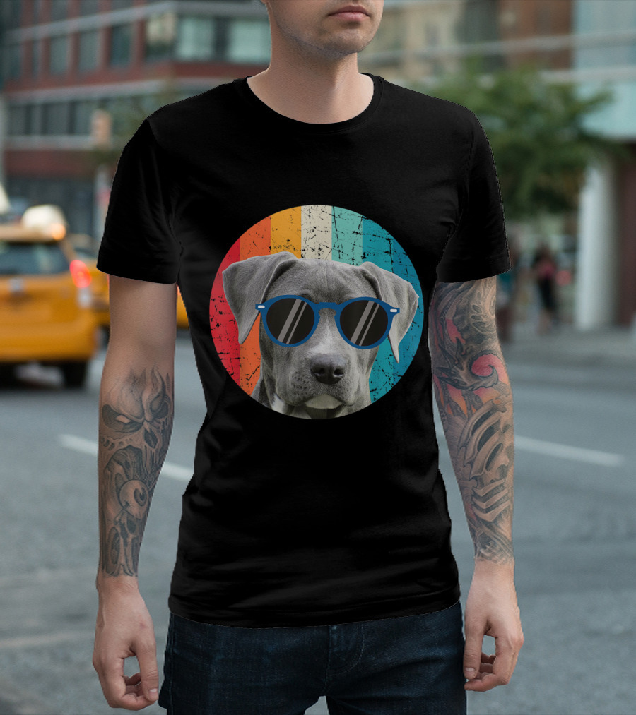 Vintage Weimaraner Dog With Sunglasses On Retro Striped Circle Background T-Shirt