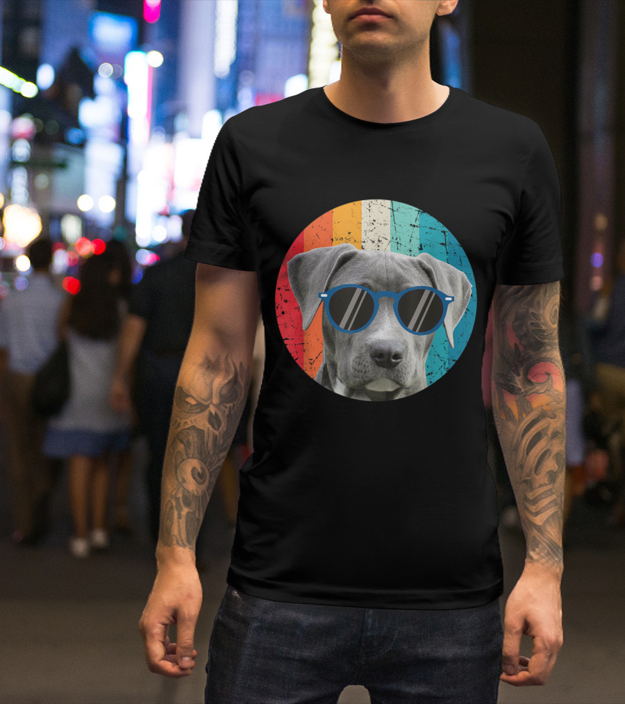 Vintage Weimaraner Dog With Sunglasses On Retro Striped Circle Background T-Shirt