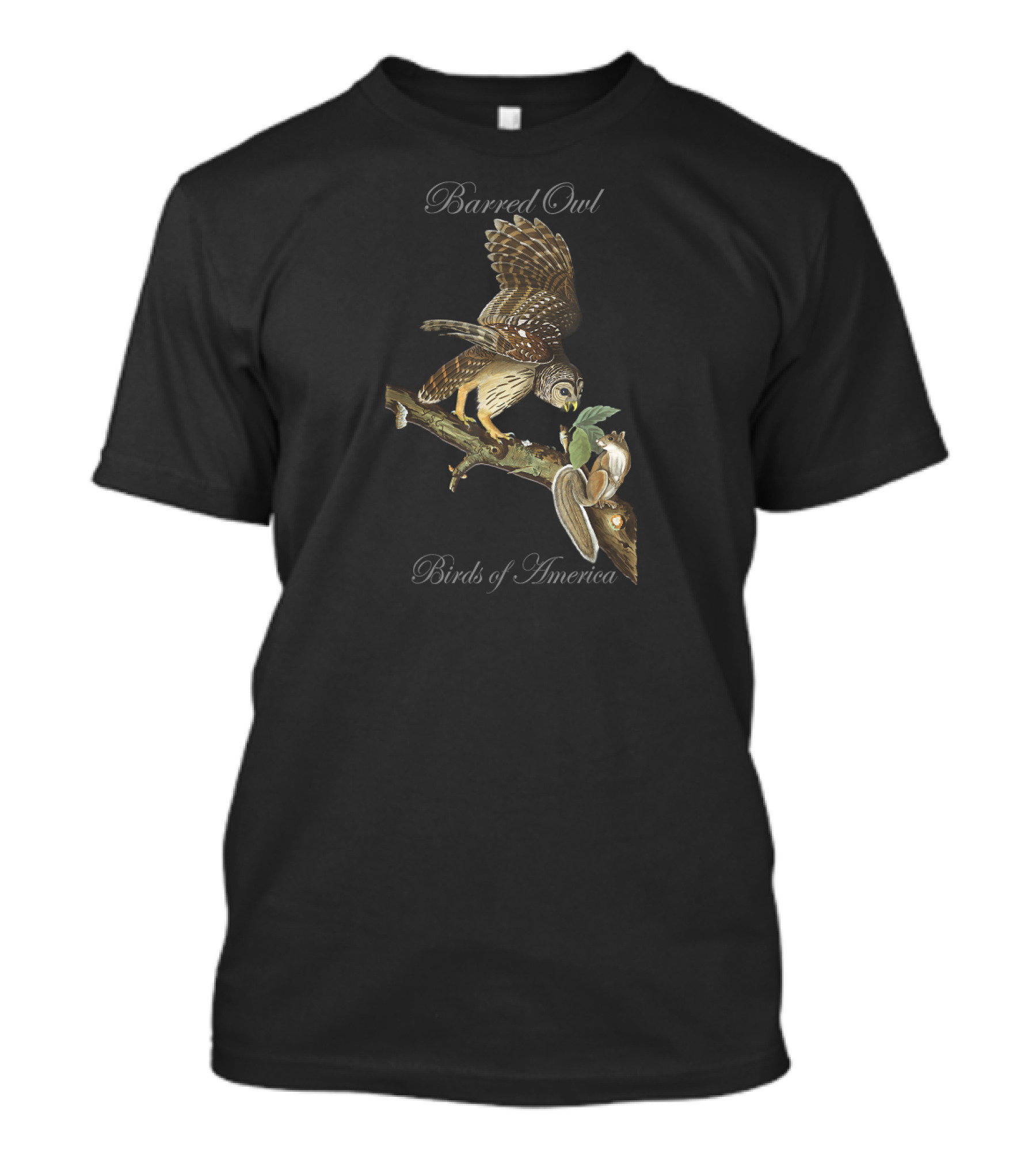 Barred Owl Birds Of America Audubon Series T-Shirt