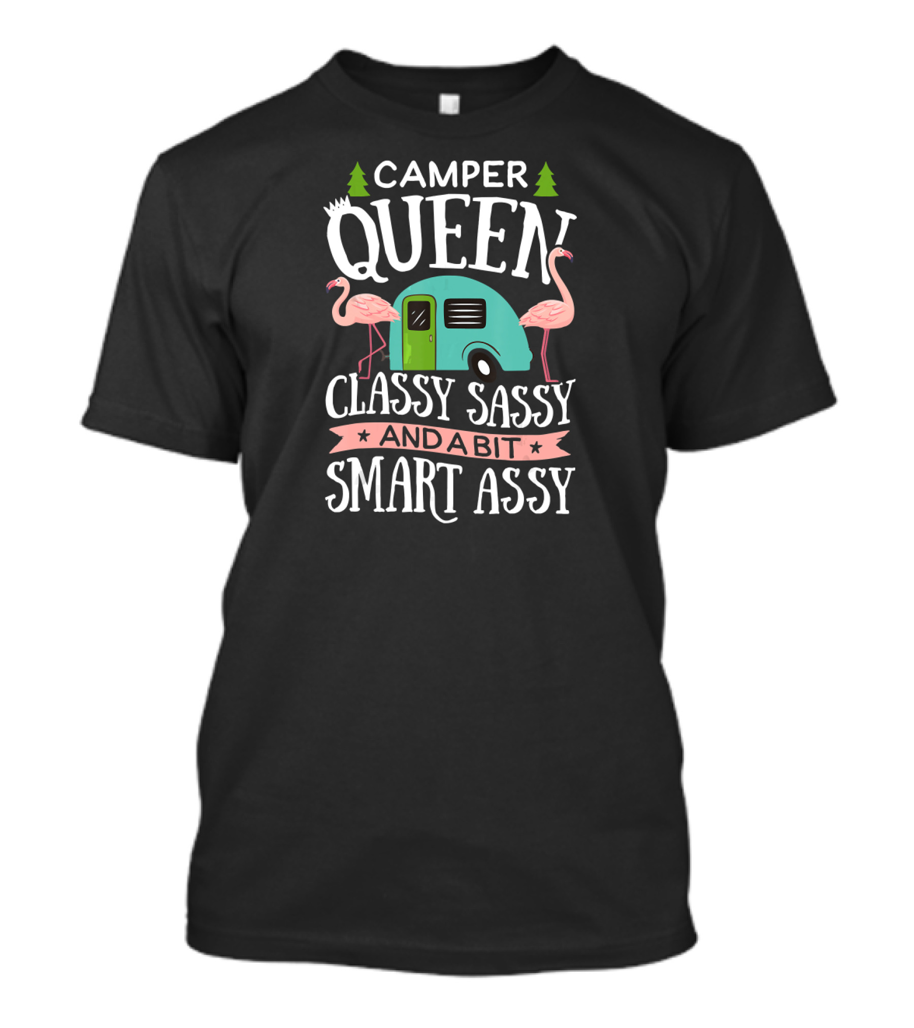 Camper Queen Classy Sassy And A Bit Smart Assy Flamingo Trees Caravan T-Shirt