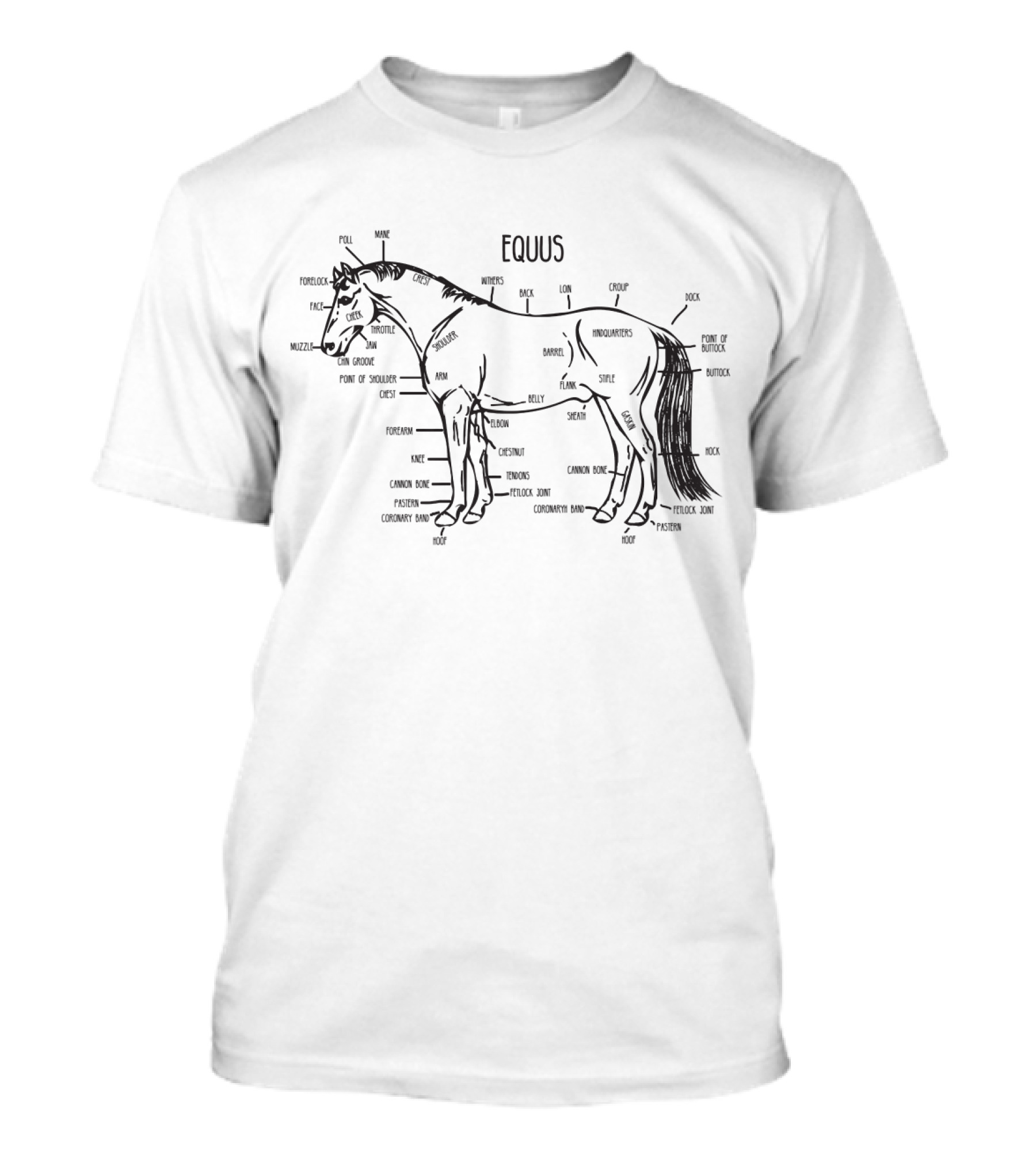 Horse Equestrian Anatomy Bowels Fetlock Withers Tail Hock Hoof Gaskin Mane Thigh Ribs Reins Pony Bridle Snaffle Saddle Pommel Rug Poll Back Muzzle Croup Dock T-Shirt
