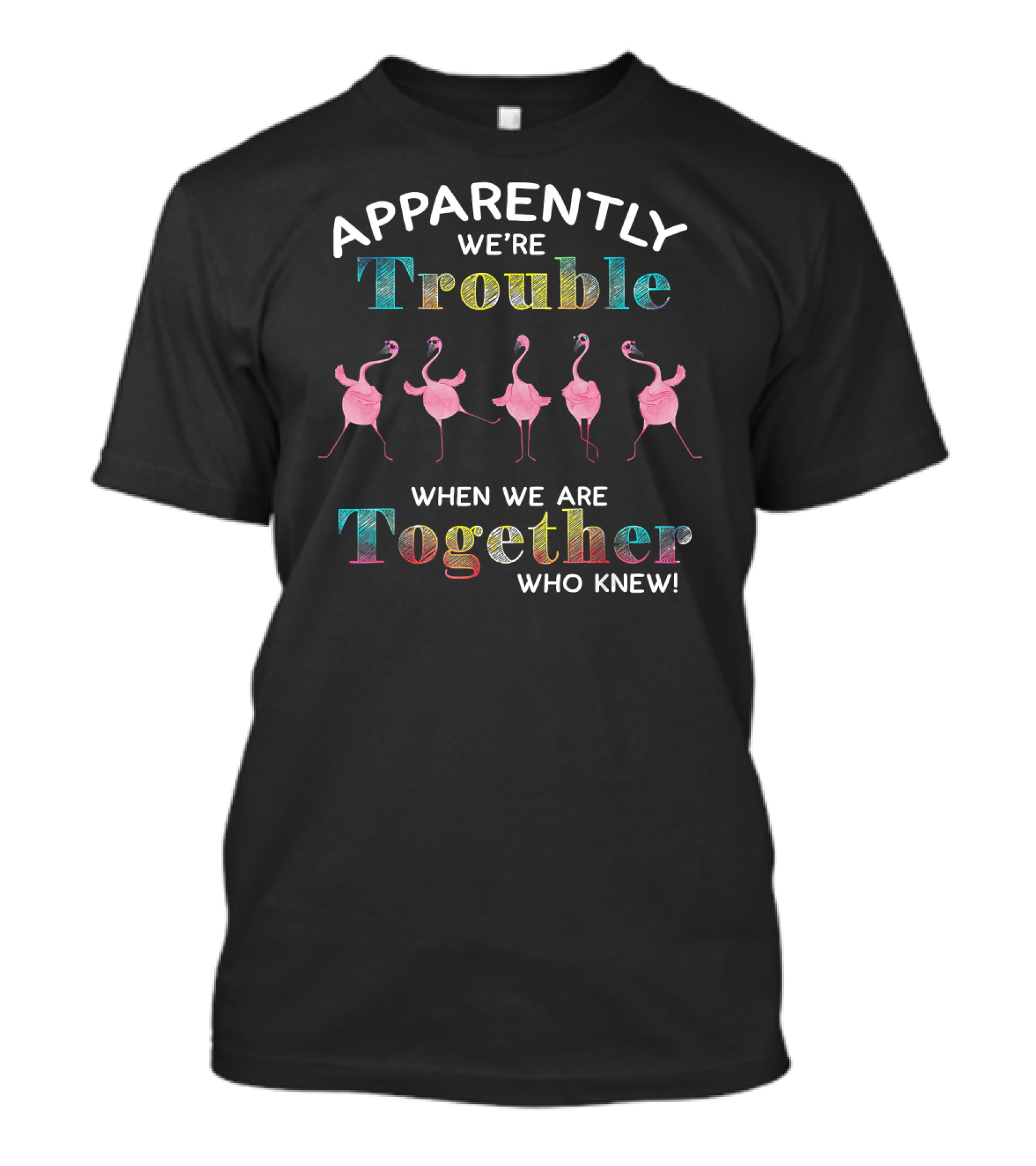 Apparently We're Trouble When We Are Together Who Knew Five Flamingos T-Shirt