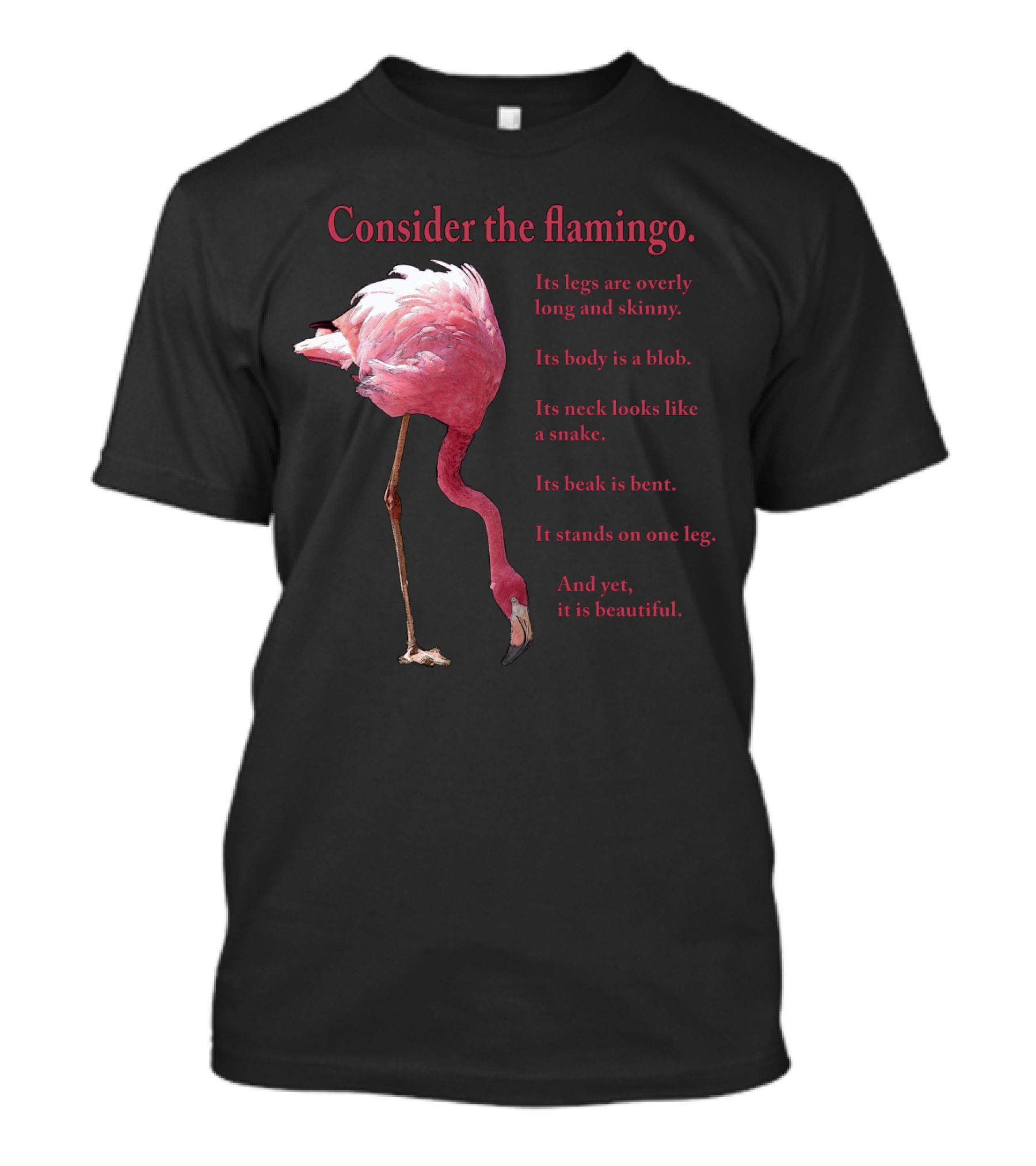 Consider The Flamingo Legs Overly Long Skinny Body A Blob Neck Snake Beak Bent Stands One Leg Beautiful T-Shirt