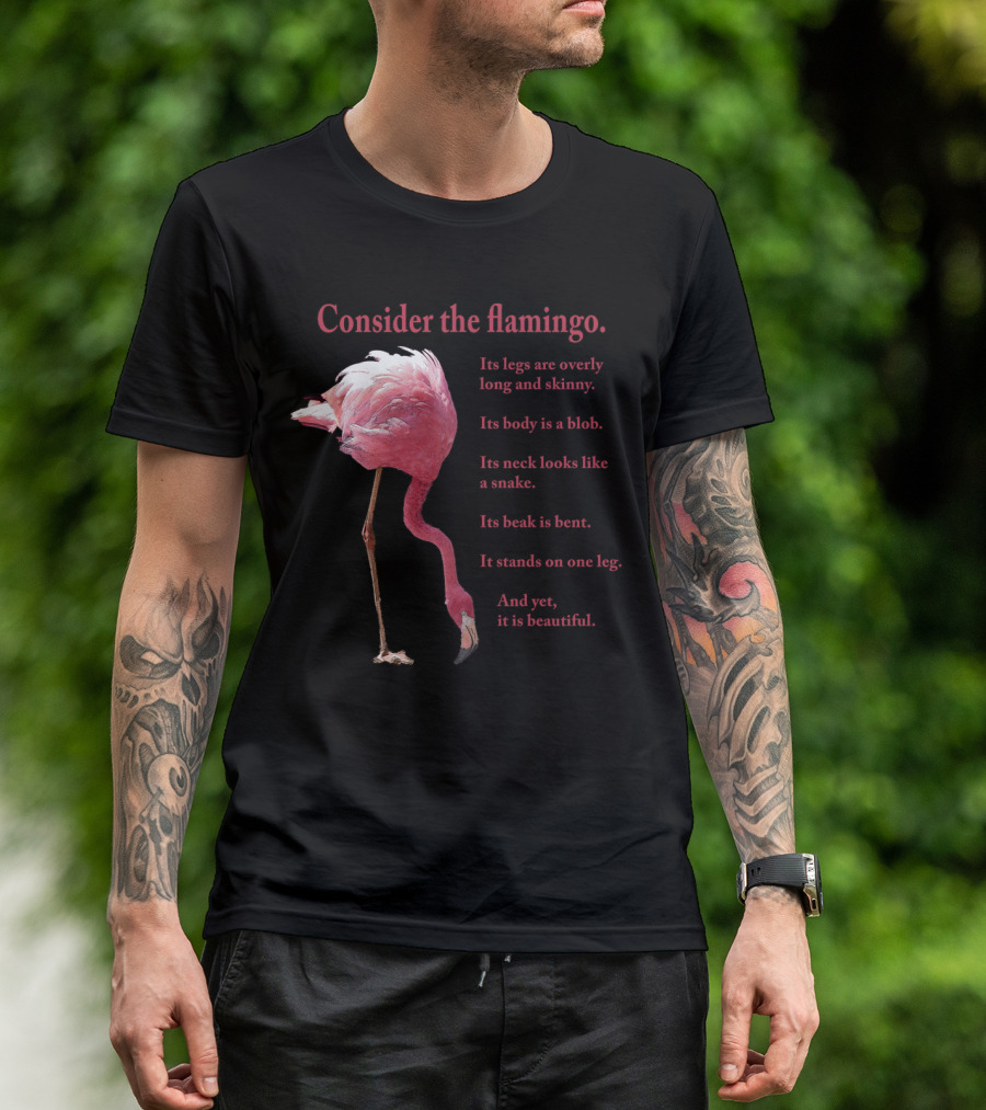 Consider The Flamingo Legs Overly Long Skinny Body A Blob Neck Snake Beak Bent Stands One Leg Beautiful T-Shirt