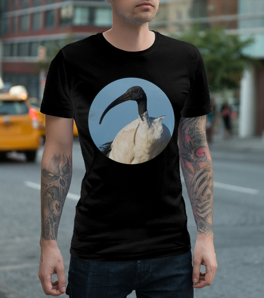 Australian White Ibis Bird in Natural Habitat Circular T-Shirt