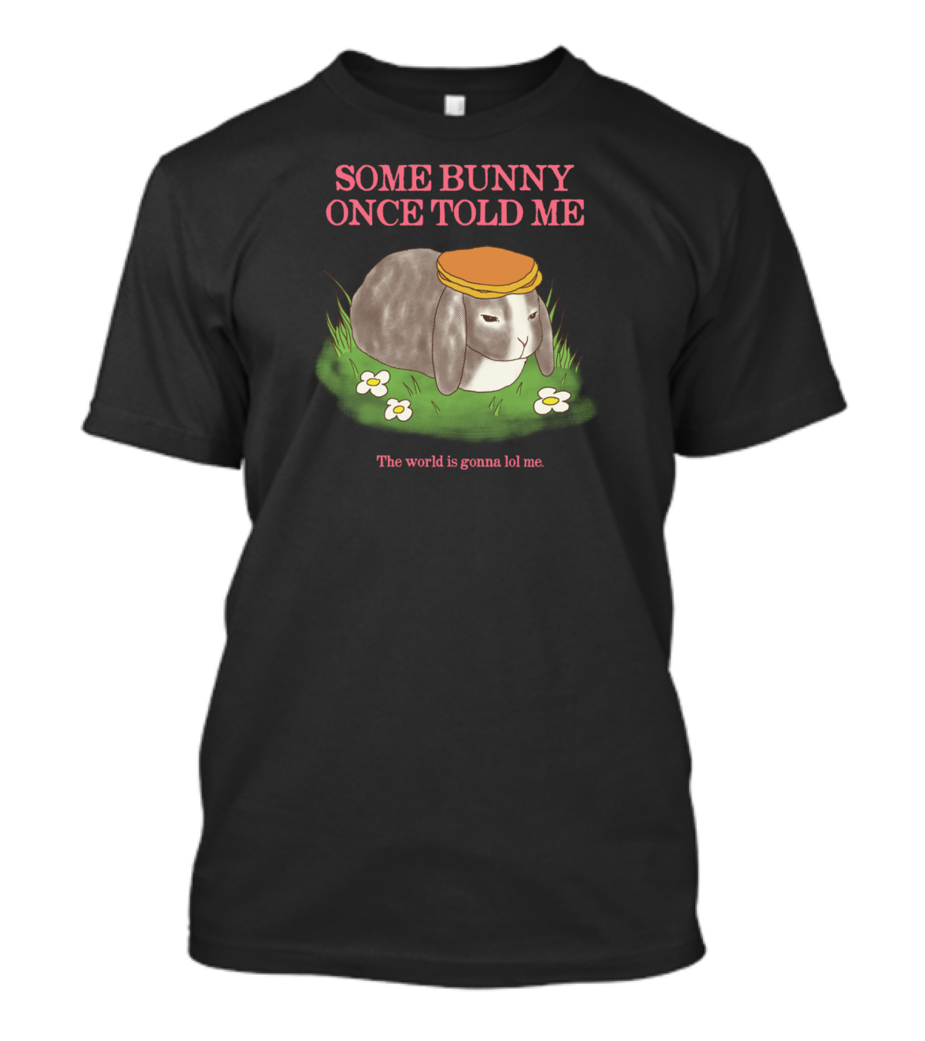 Some Bunny Once Told Me The World Is Gonna Lol Me Rabbit Pun With Hat And Flowers T-Shirt
