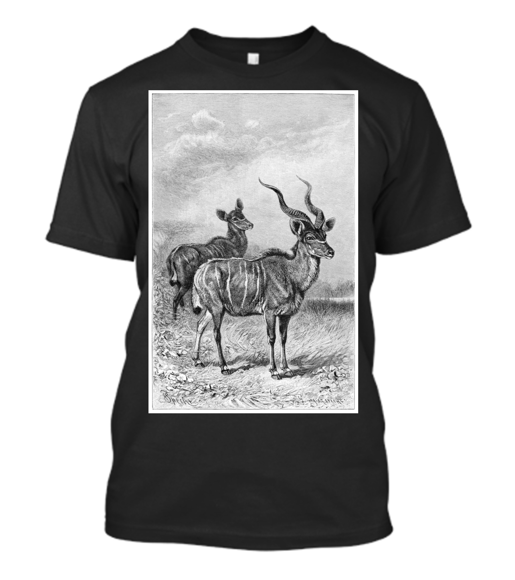 African Kudu Wildlife Illustration In T-Shirt
