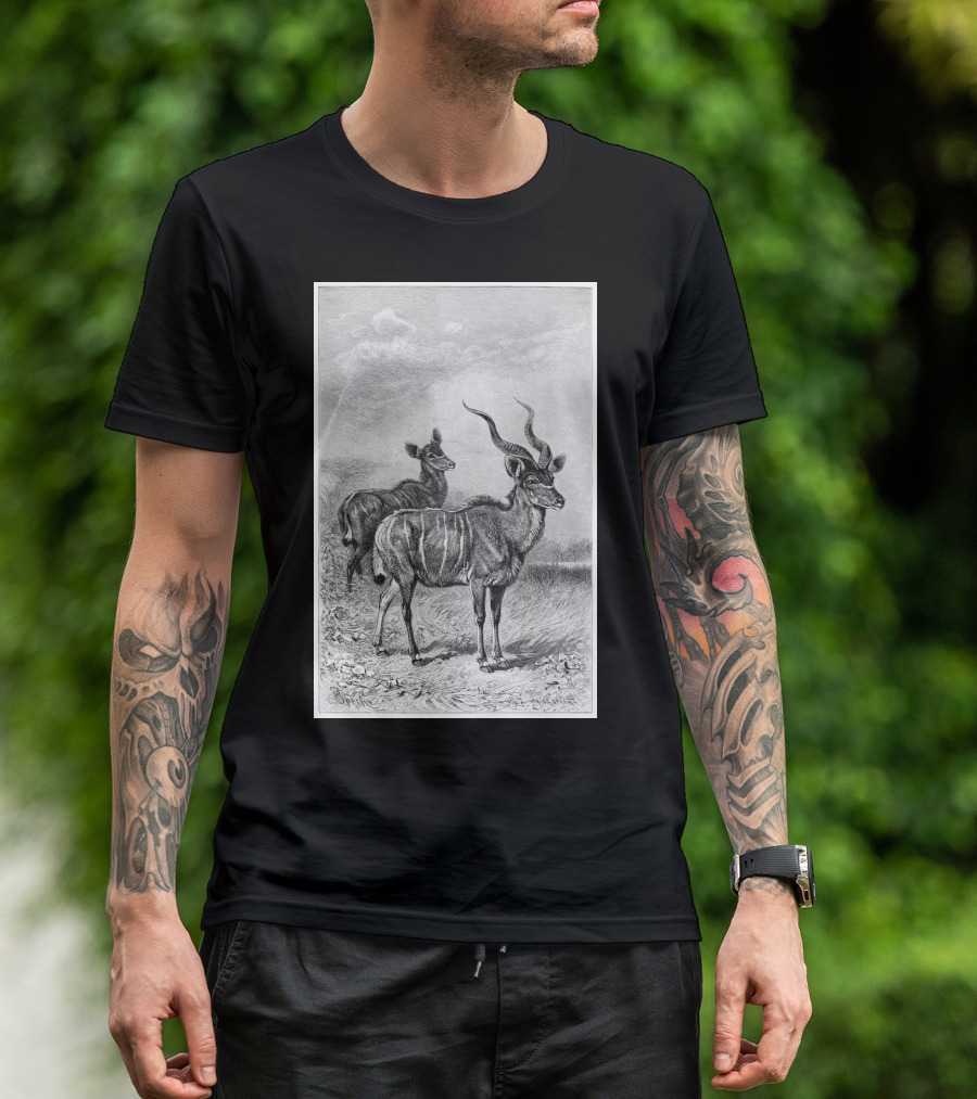African Kudu Wildlife Illustration In T-Shirt