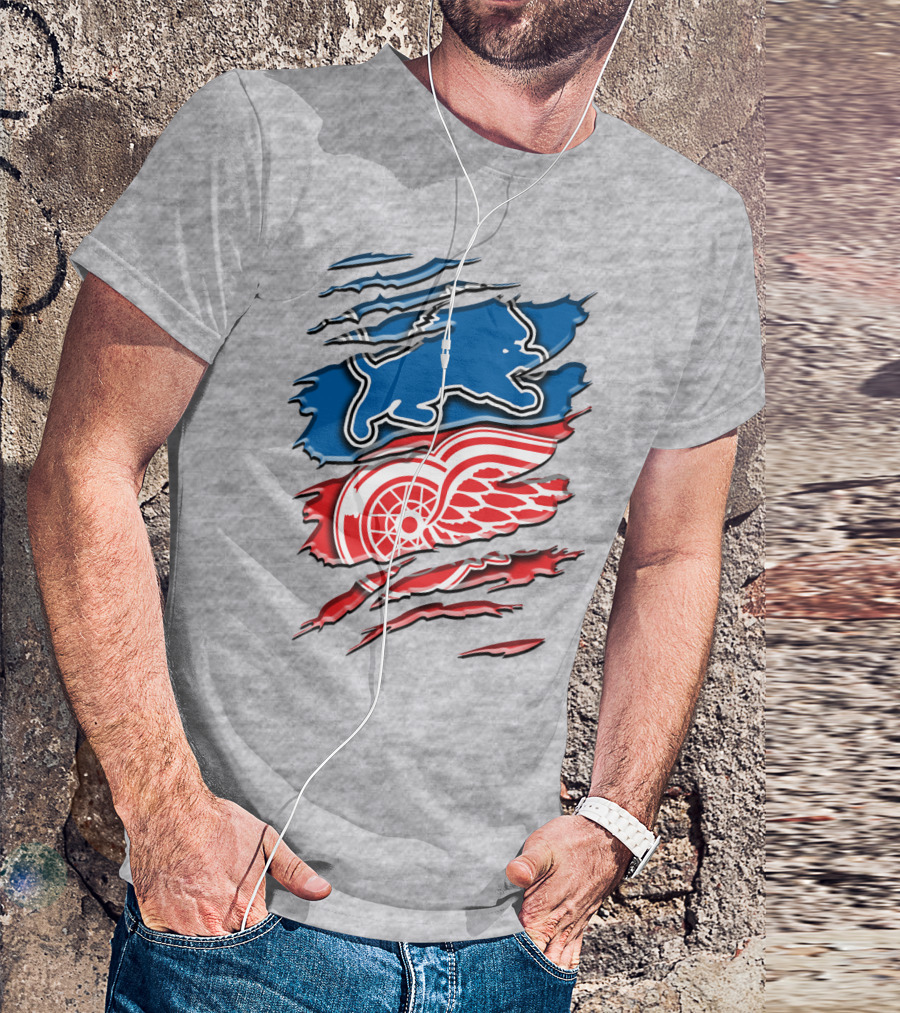 Detroit Red Wings Buffalo Sabres Vintage Mashup T-Shirt