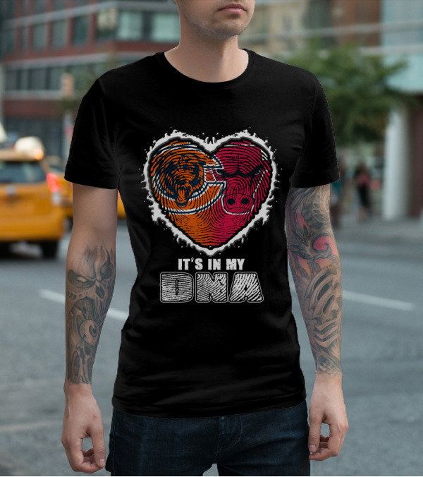 It's In My Dna Bears And Bulls Heart T-Shirt
