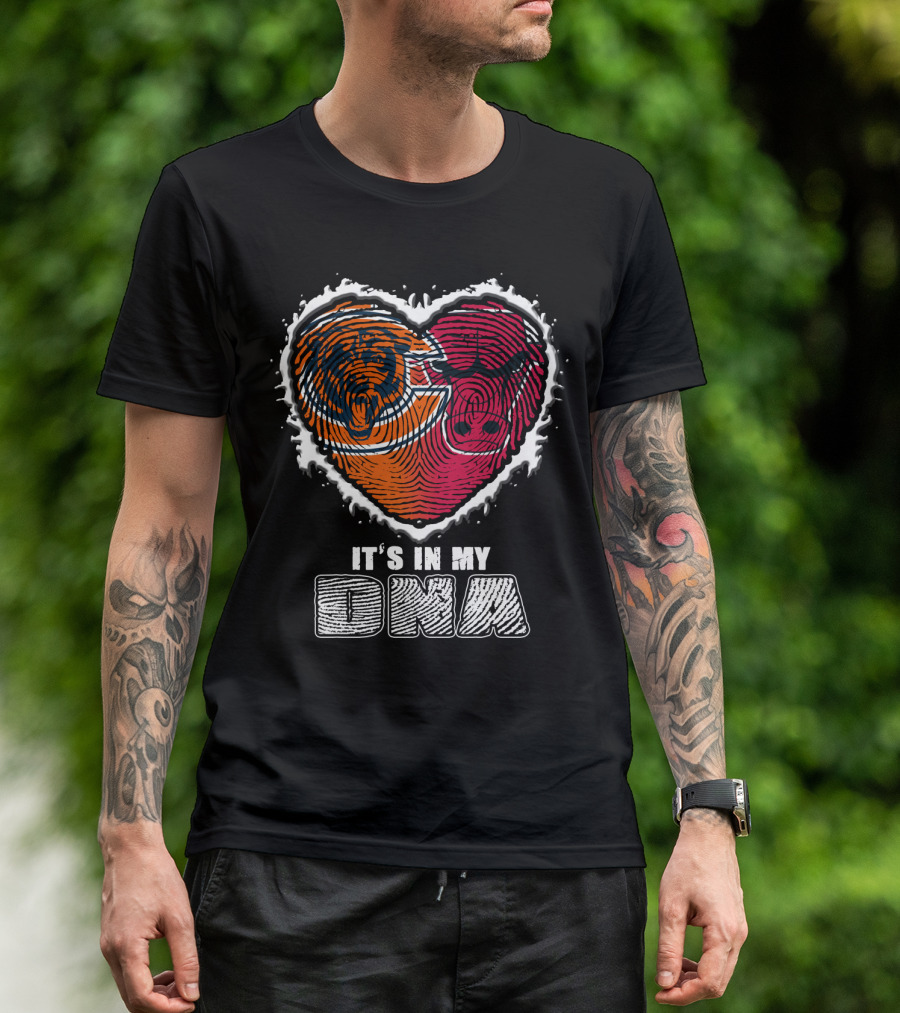 It's In My Dna Bears And Bulls Heart T-Shirt
