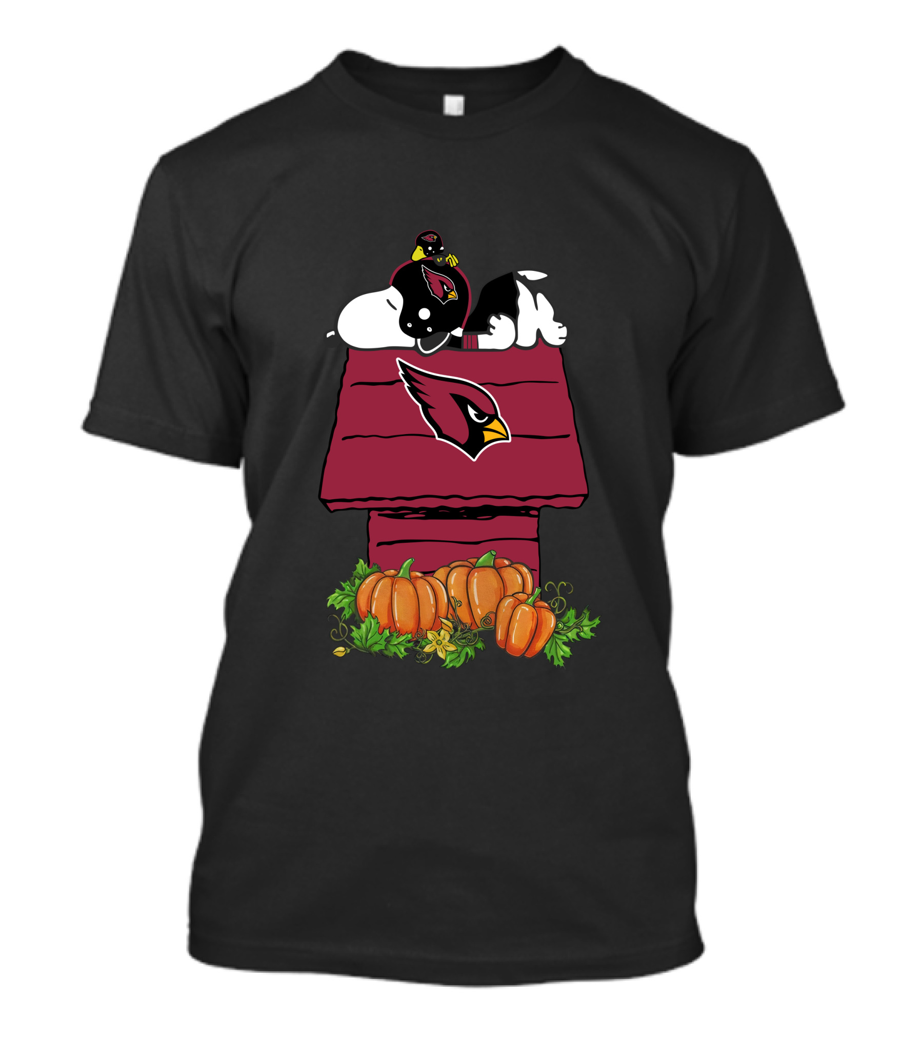 Arizona Cardinals Snoopy On Doghouse With Pumpkins T-Shirt