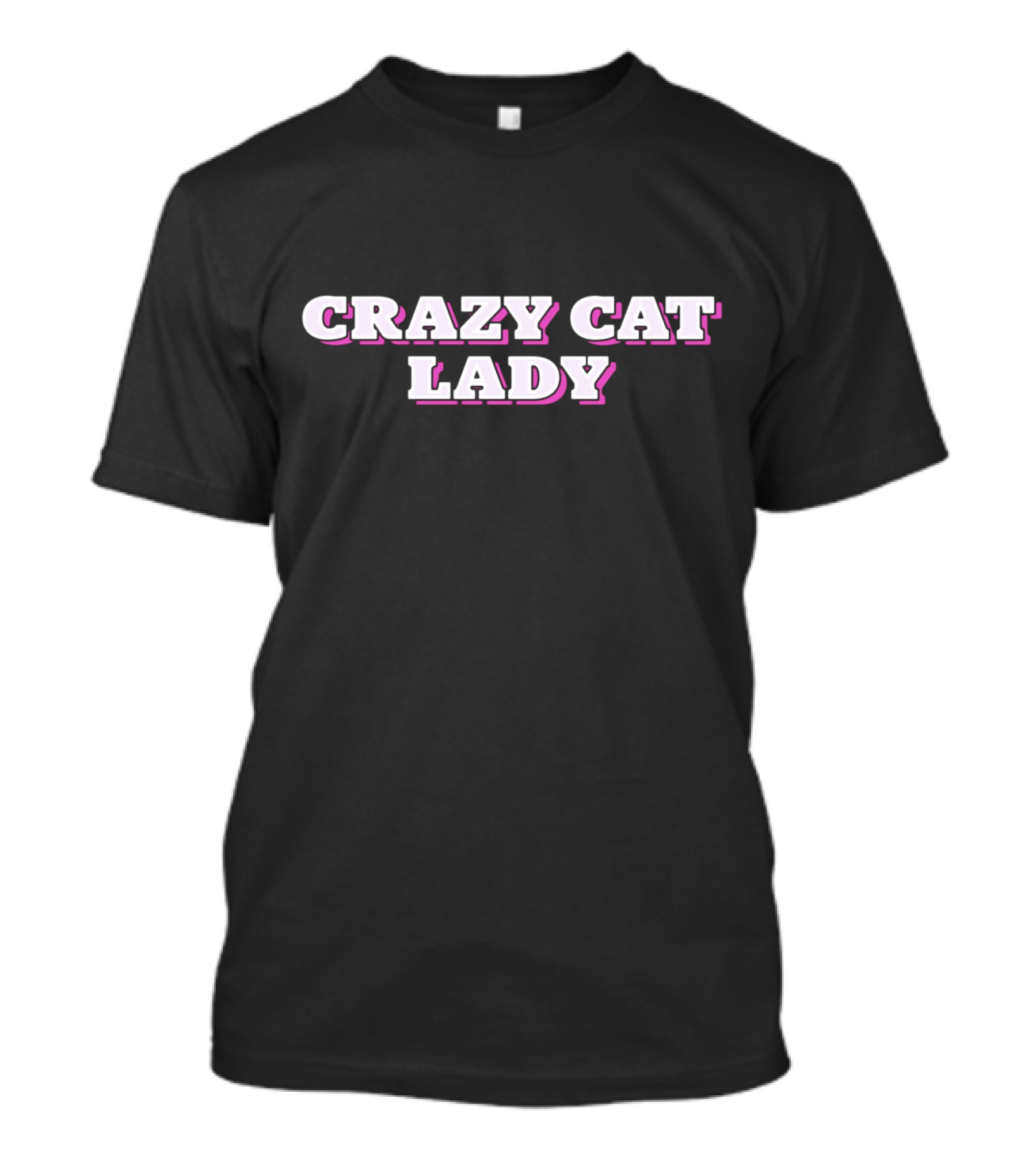 Crazy Cat Lady Retro Bold Fun Text T-Shirt