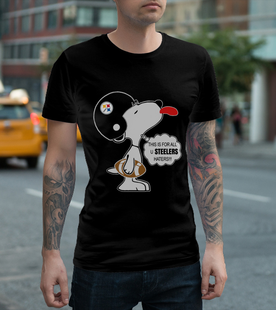 This Is For All U Steelers Haters!!! T-Shirt