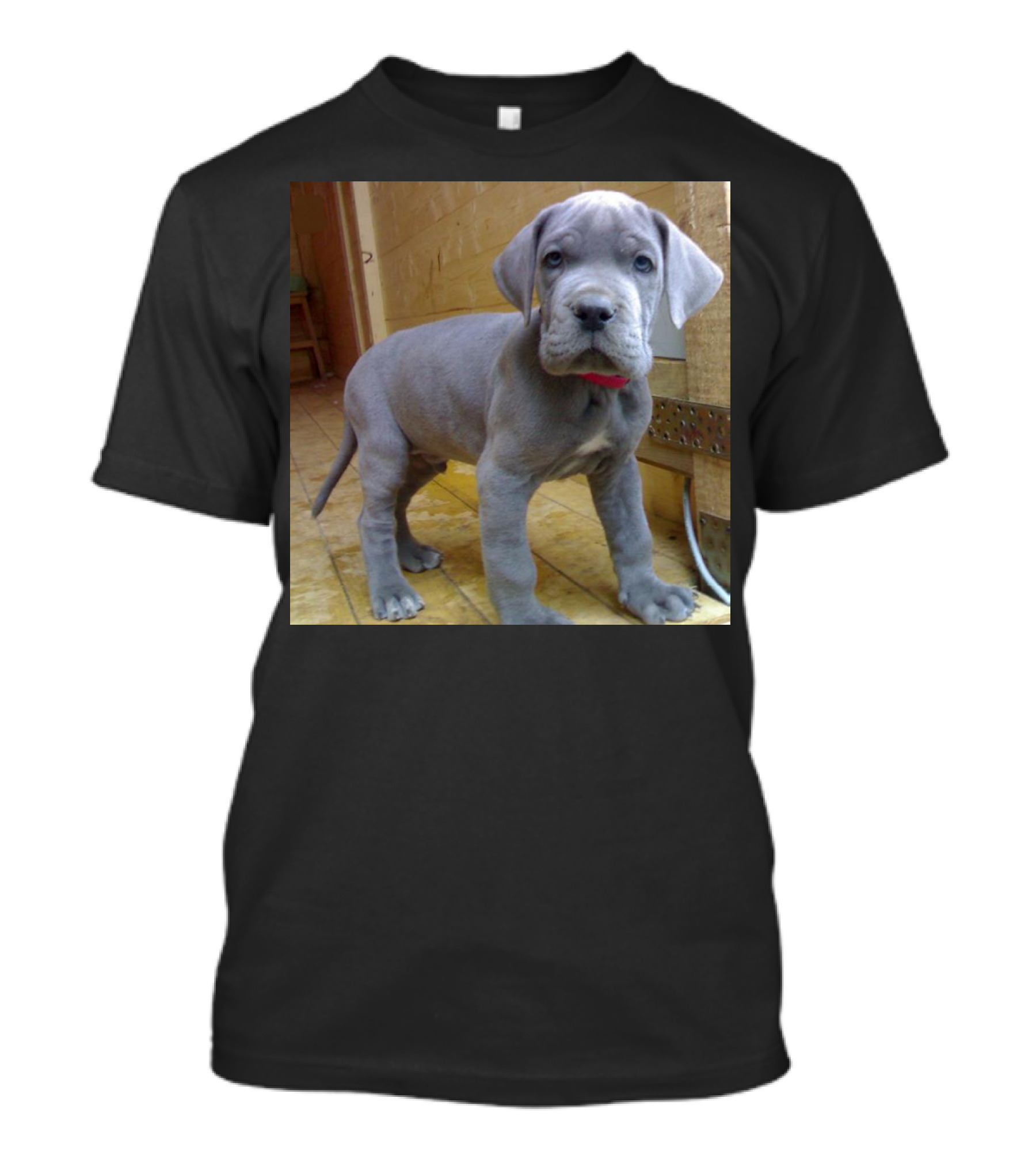 Adorable Blue Great Dane Puppy With Red Collar T-Shirt