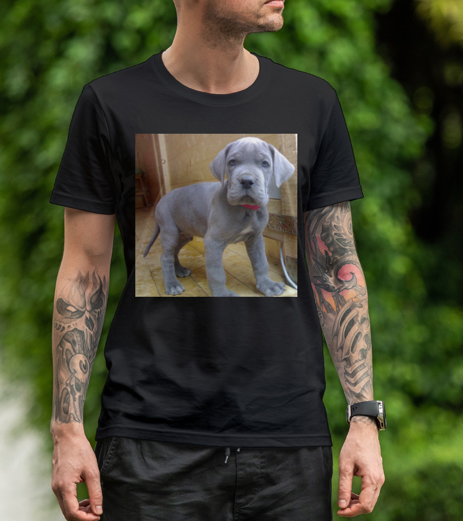 Adorable Blue Great Dane Puppy With Red Collar T-Shirt