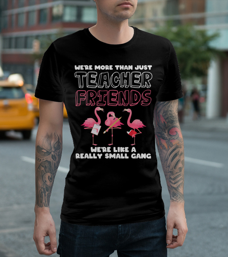 We're More Than Just Teacher Friends Flamingos We're Like a Really Small Gang T-Shirt