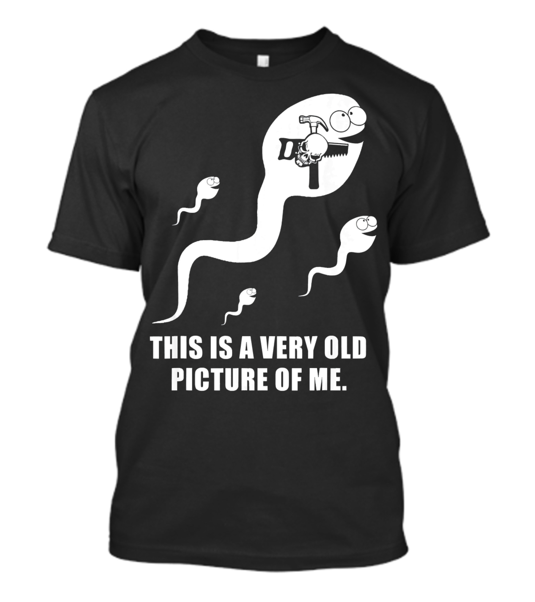 This Is A Very Old Picture Of Me Carpenter Hammer Sperm Humor T-Shirt
