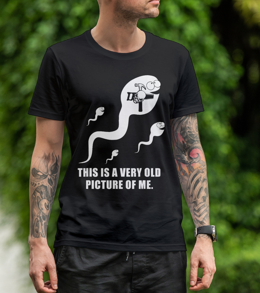 This Is A Very Old Picture Of Me Carpenter Hammer Sperm Humor T-Shirt