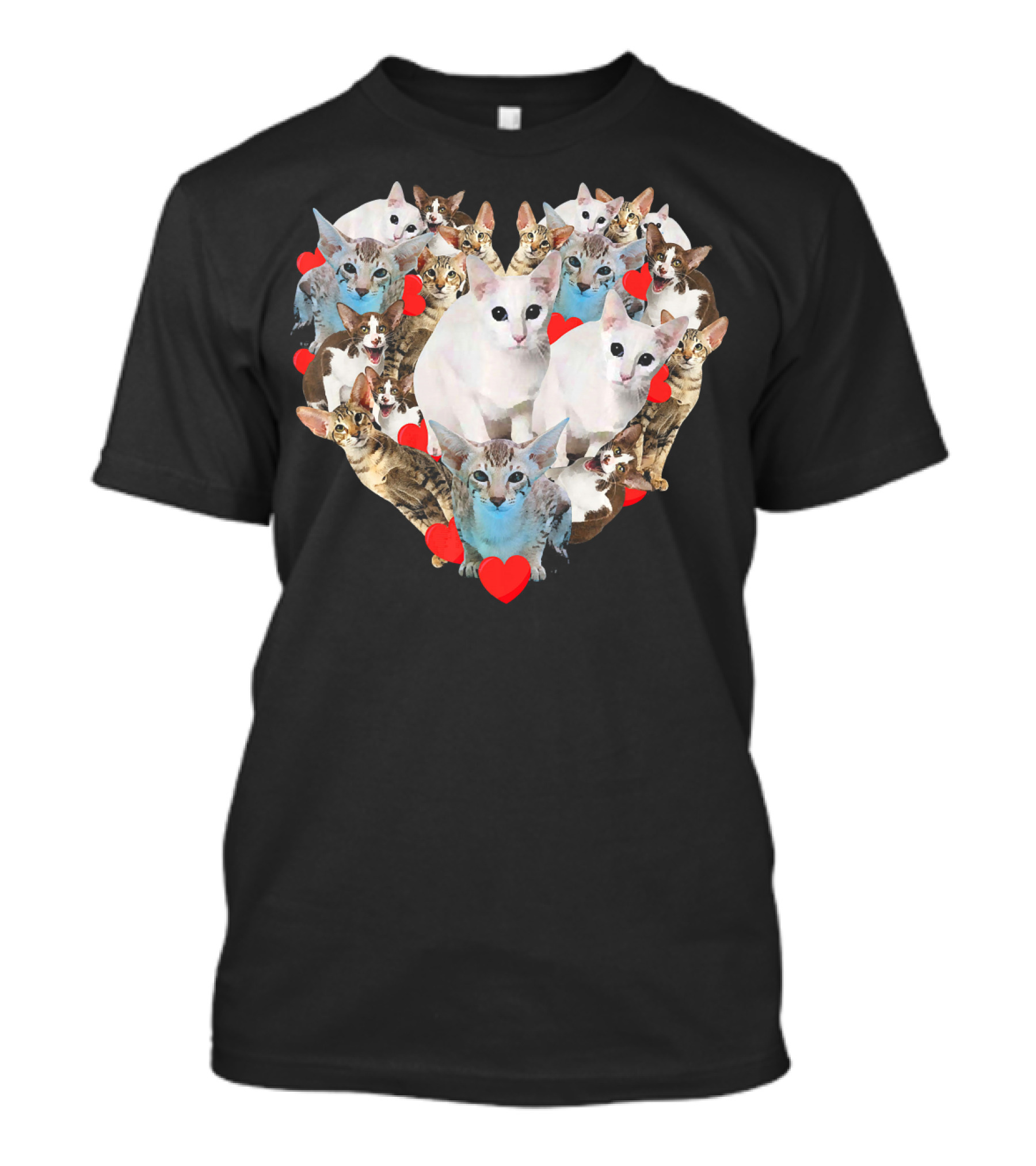 Valentine's Day Heart With Oriental Shorthair Cats And Red Hearts T-Shirt