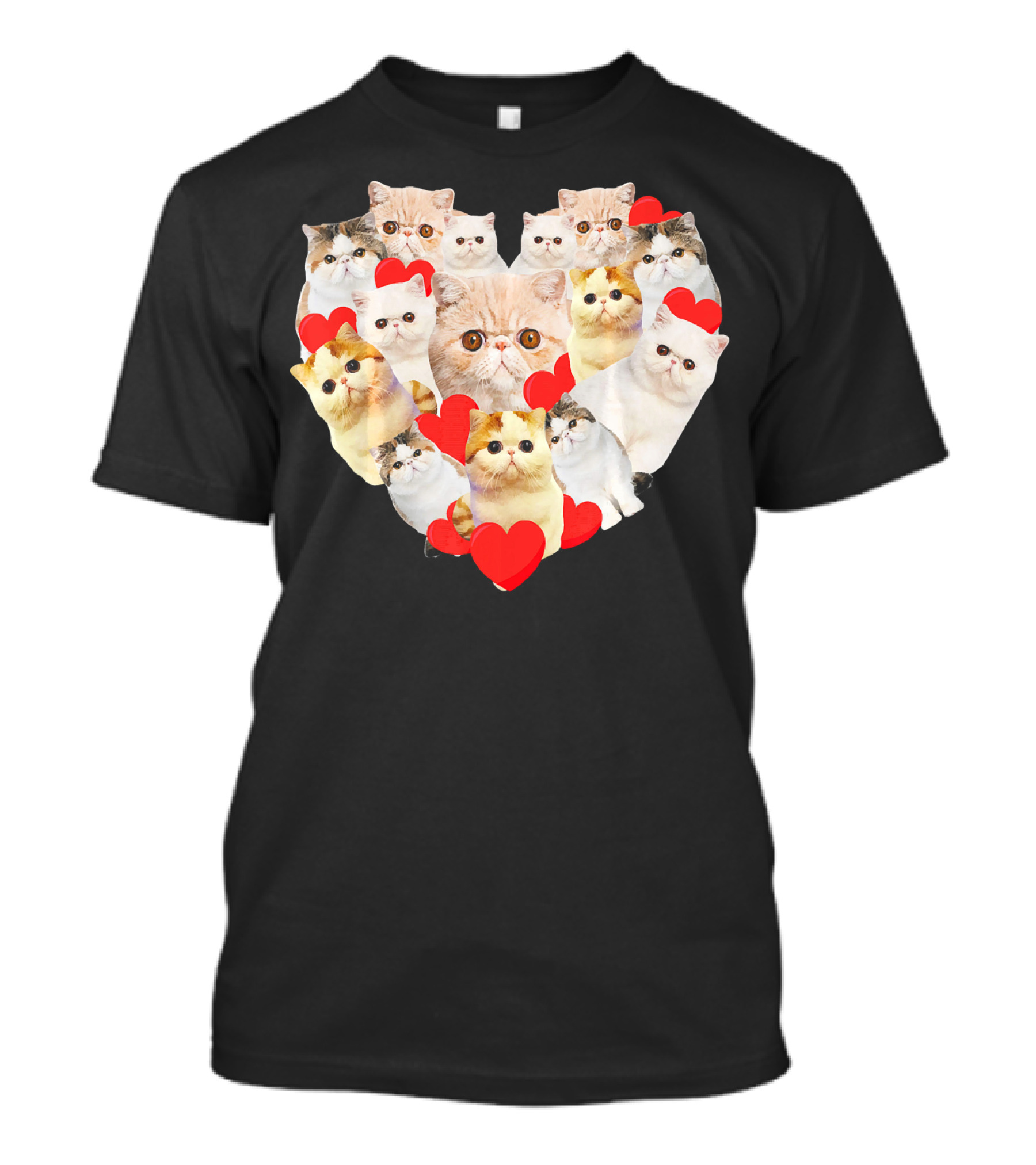 Valentines Day Exotic Cat Heart Love Kittens T-Shirt