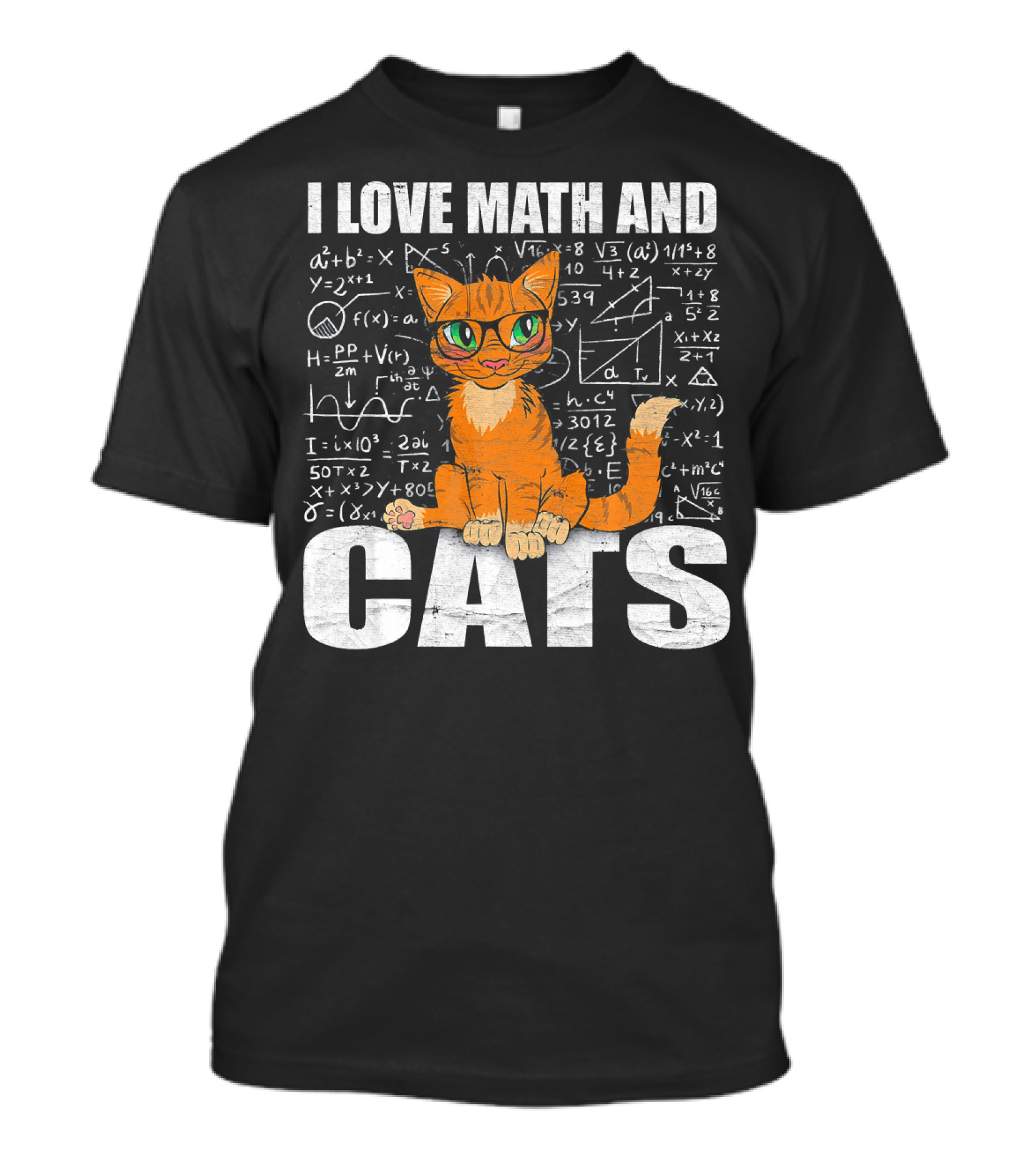 I Love Math And Cats Funny Cat With Math Equations T-Shirt