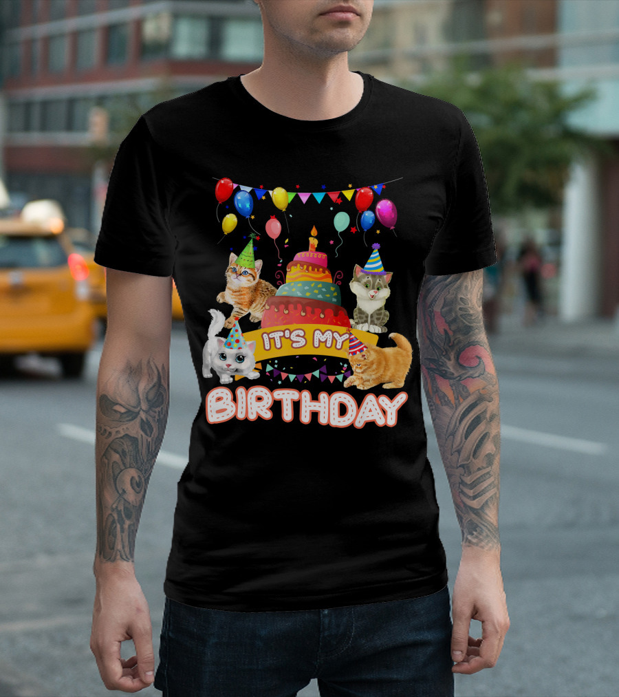 It's My Birthday Cats With Cake And Balloons Party Day T-Shirt