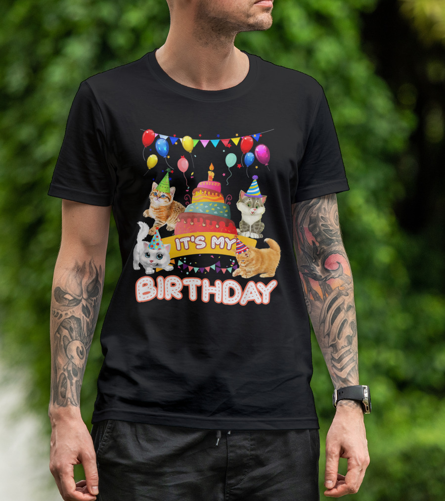 It's My Birthday Cats With Cake And Balloons Party Day T-Shirt