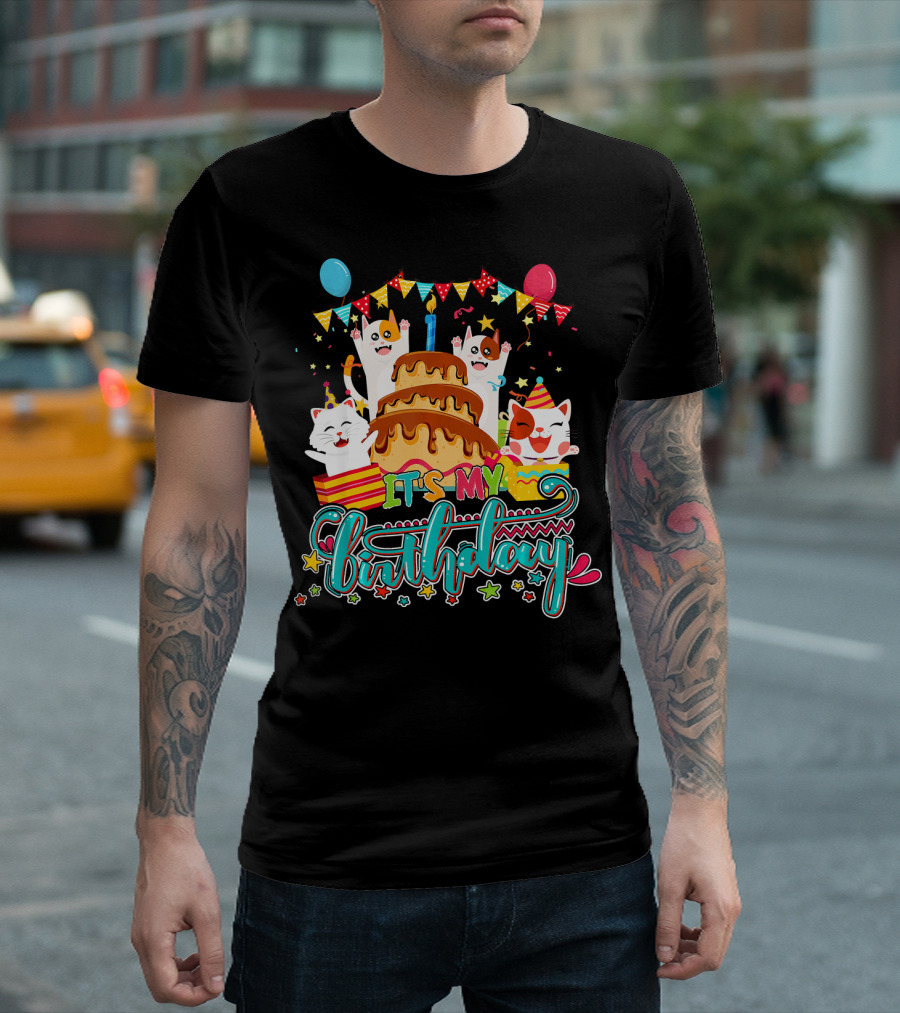 It's My Birthday Cat and Kitten Party Celebration with Cake and Balloons T-Shirt