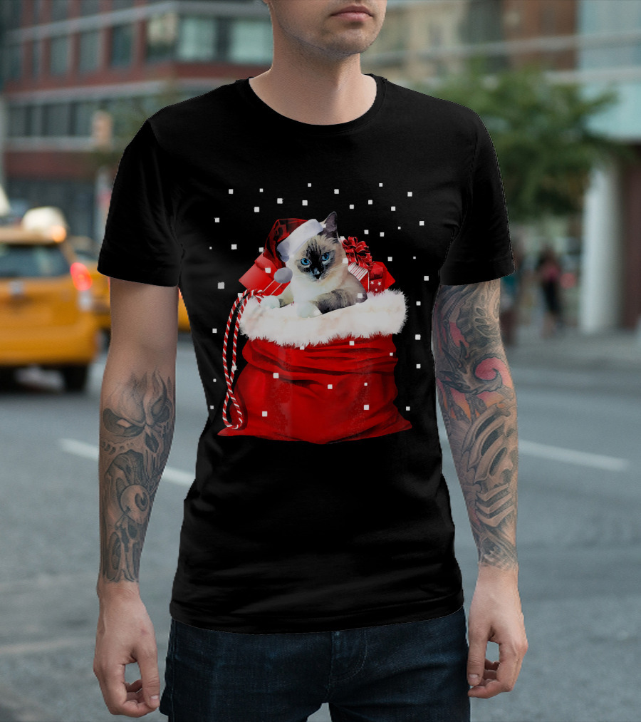 Christmas Ragdoll Cat Santa Hat In Red Bag With Snowflakes T-Shirt
