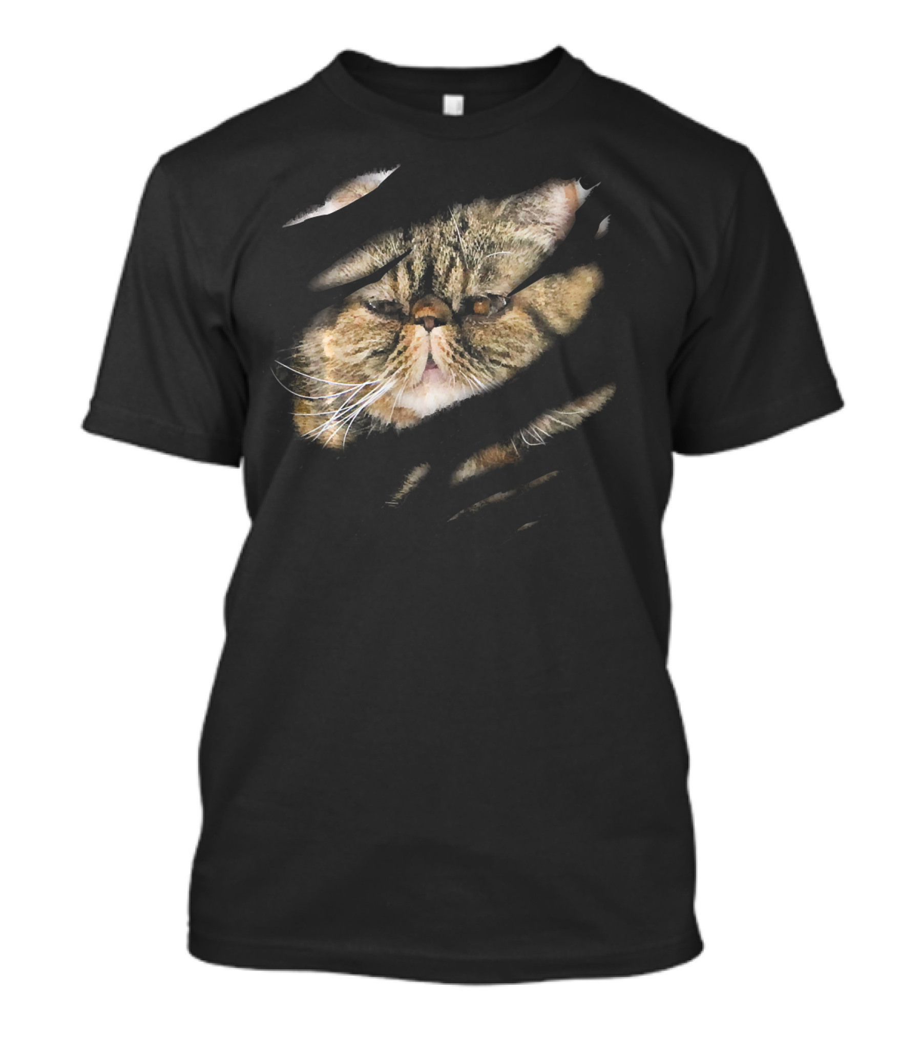 Exotic Shorthair Cat Hidden Within T-Shirt