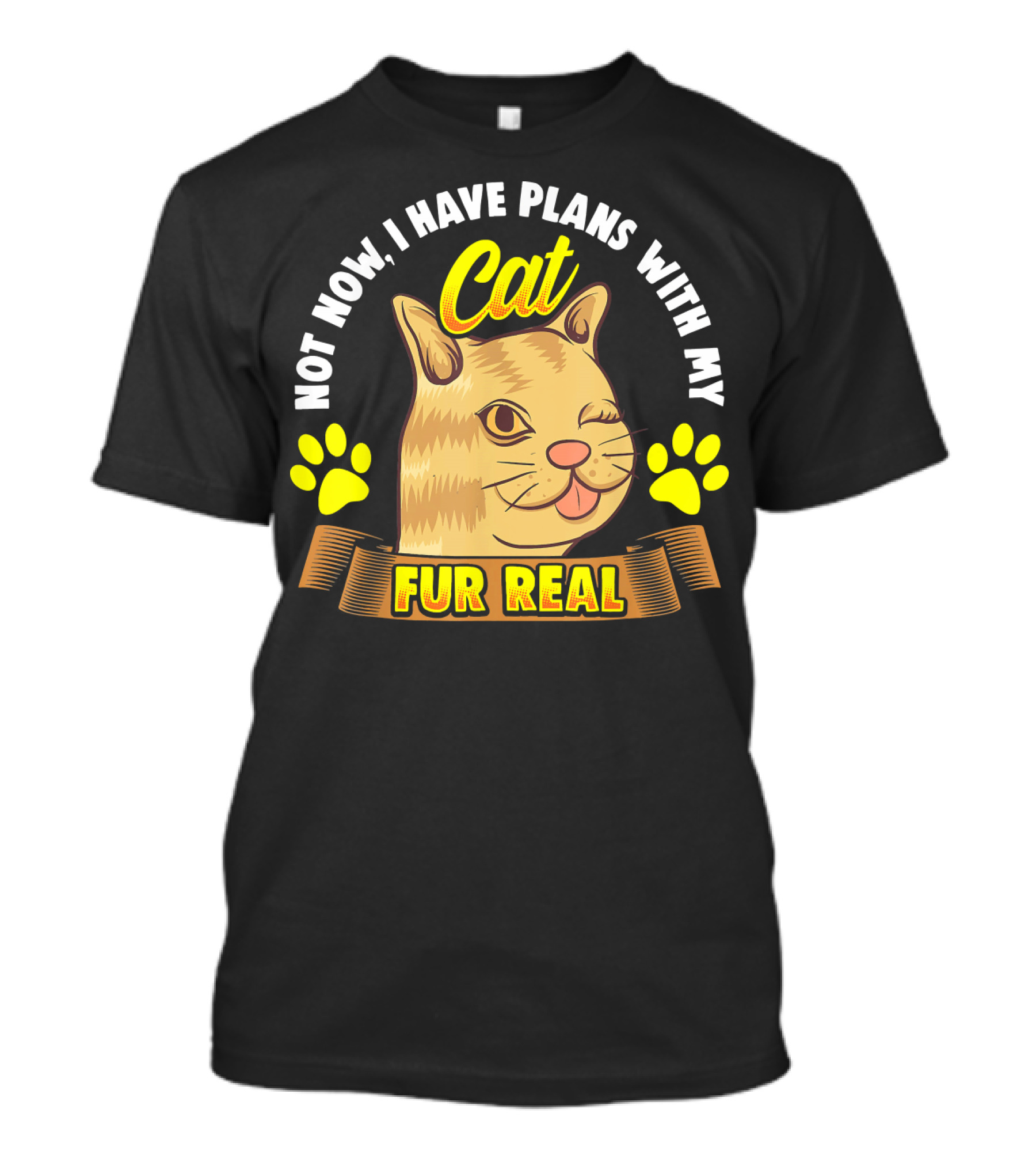 Not Now I Have Plans With My Cat Fur Real T-Shirt