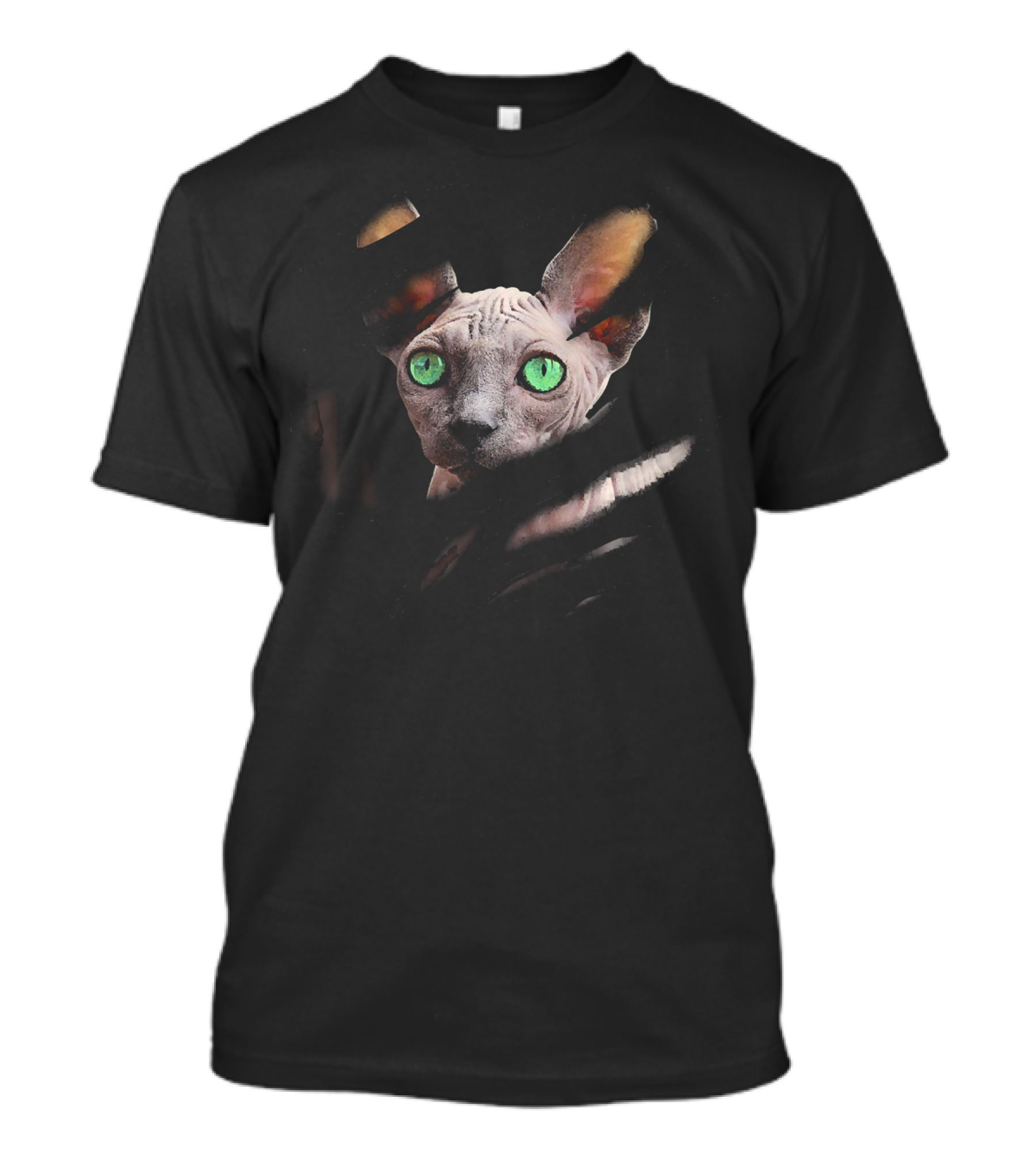 Sphynx Cat Green Eyed Enigma In Me Ca Pure T-Shirt