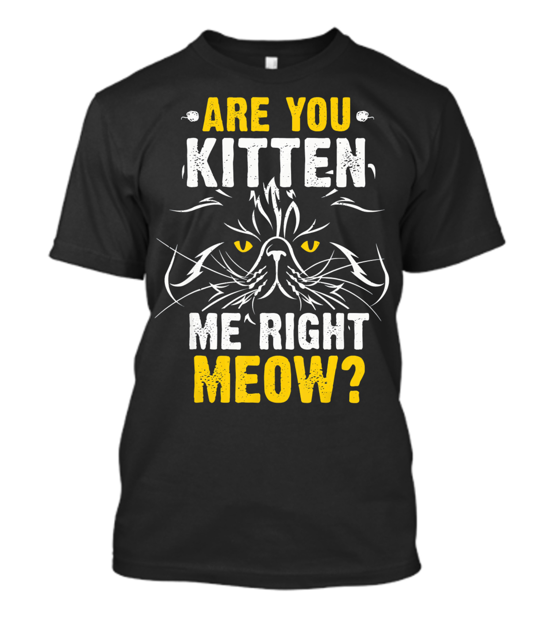 Are You Kitten Me Right Meow Cat Pun Joke T-Shirt