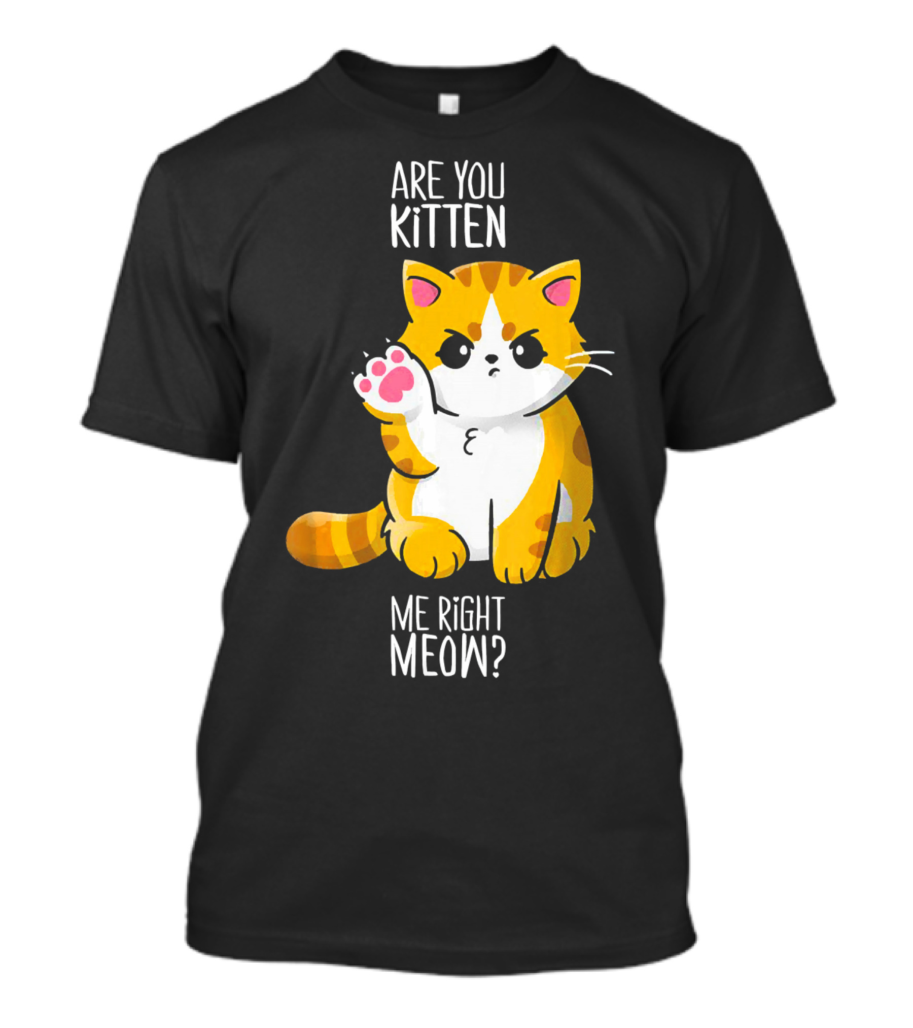 Are You Kitten Me Right Meow Cute Cat T-Shirt