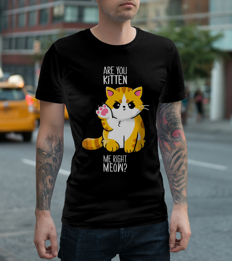 Are You Kitten Me Right Meow Cute Cat T-Shirt