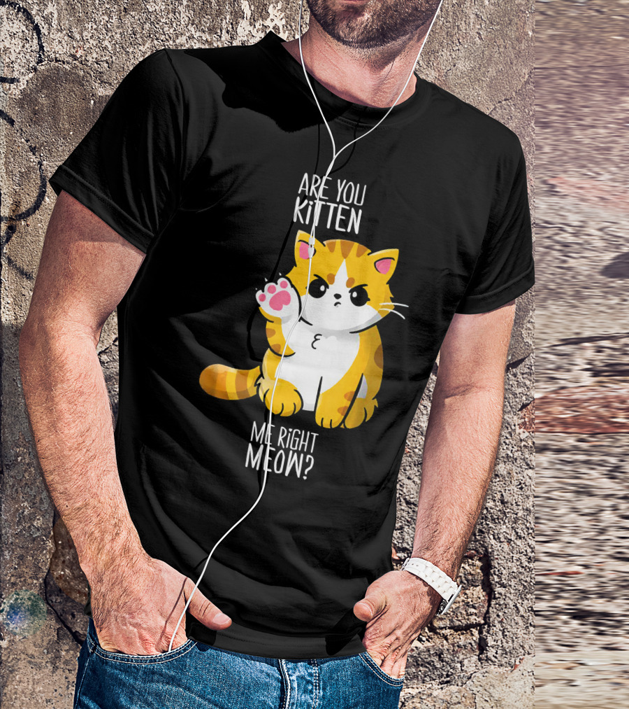 Are You Kitten Me Right Meow Cute Cat T-Shirt